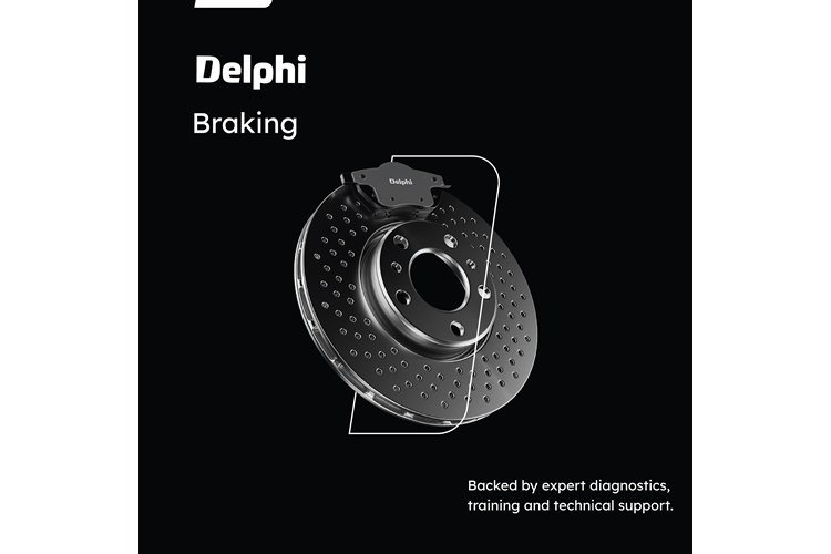 Delphi Braking 2 garage wire